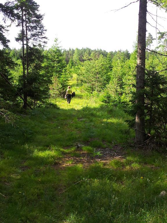 Maenniste Holiday Home Hiievalja Værelse billede
