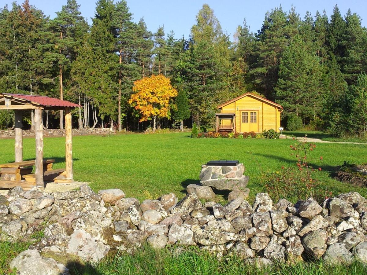 Maenniste Holiday Home Hiievalja Værelse billede